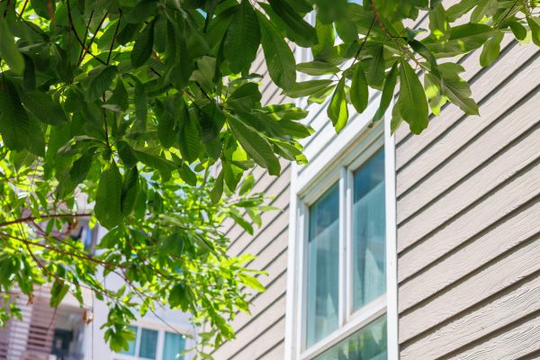 Green Eco city, Green tree with modern home apartment condominium for cool saving energy and fresh air.